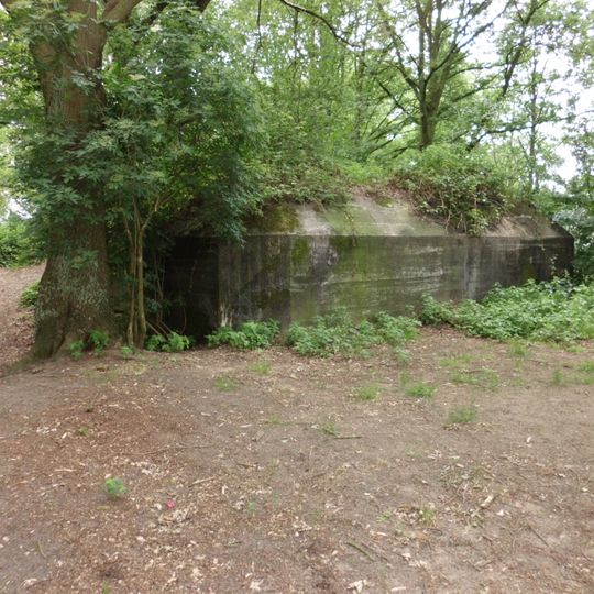 Kazemat R008-P Duitse Pantherstellung ten noorden van de Asschatterweg