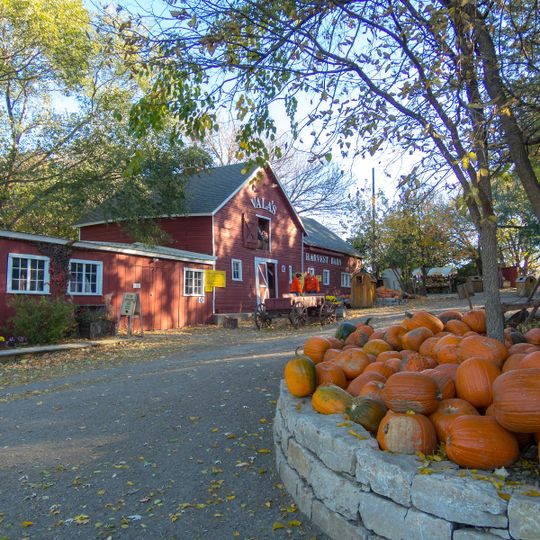 Vala's Pumpkin Patch