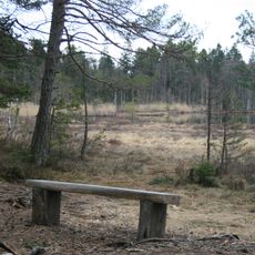 Adalstjern