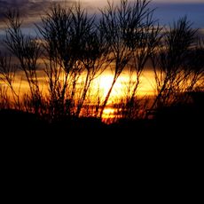 Site of Community Importance of Ria Formosa-Castro Marim