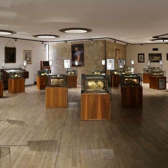 Clemente Susini's wax anatomical models