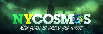 New York Cosmos Profile Cover