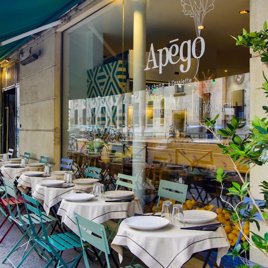 Apégo