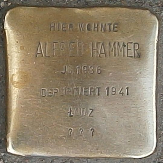 Stolperstein dedicated to Alfred Hammer
