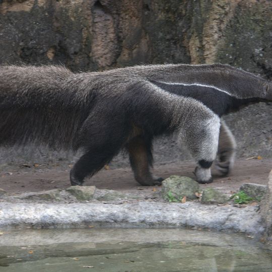 Parco nazionale Los Katios