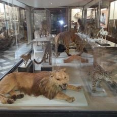 Muséum d'histoire naturelle de Nîmes