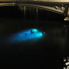 Agnete and the Merman