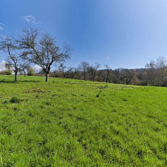 NSG Kickelbach bei Fischbach