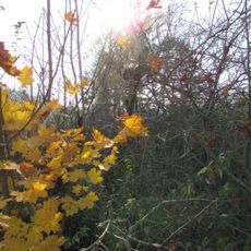 Kříž na okraji Lešova ve směru na Putimov