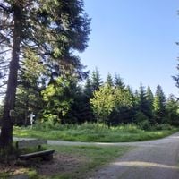 Weißenstadter Forst-Süd