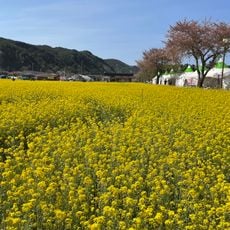 상맹방해수욕장
