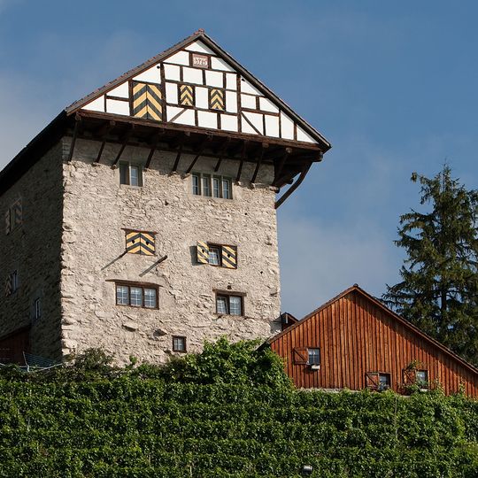 Burg Neu-Altstätten