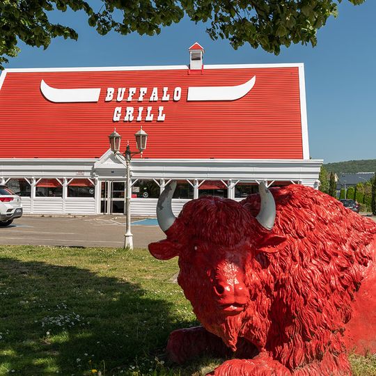 Buffalo Grill