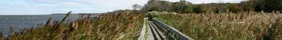 Panoramic View 1
