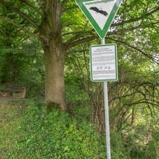 Nordhänge des Altenautals