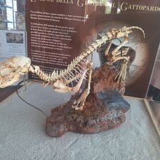 Museo preistorico della Val Varatella Nino Lamboglia