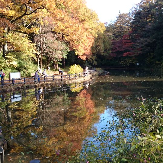 Yokohama Children's Recreation Park