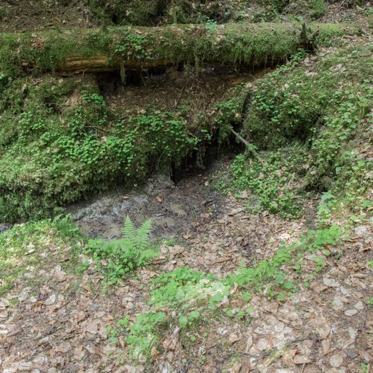 Ponordoline ESE von Weidensees