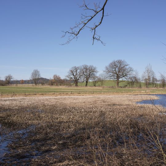 Vlčkovice - Dubský rybník