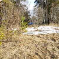 Сосновка (Гур'євський округ)