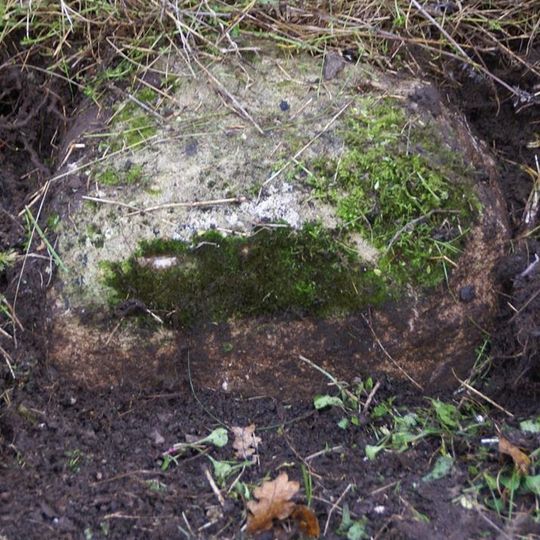 Milestone, Leigh Common; 20m E entrance Leigh Farm