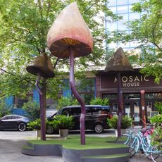 Searching for Happiness