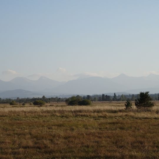 Puścizna Rękowiańska