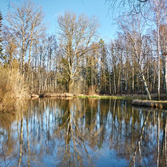 Пруд «У обсерватории»