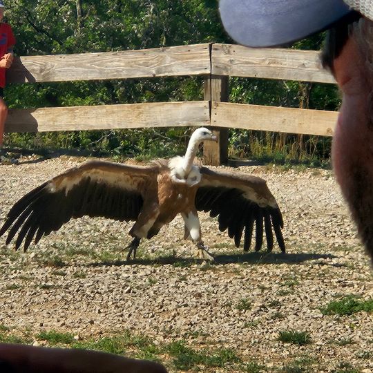 Le Rocher des Aigles