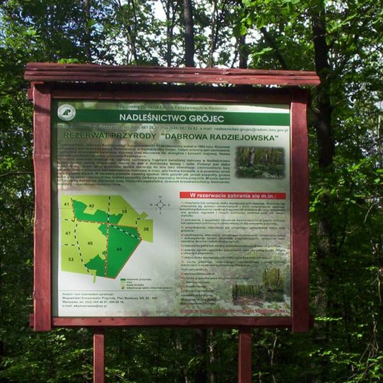 Nature reserve Dąbrowa Radziejowska