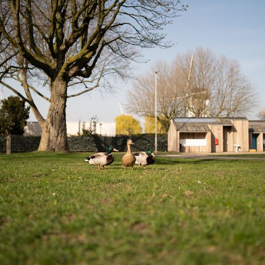 City Camping Antwerp