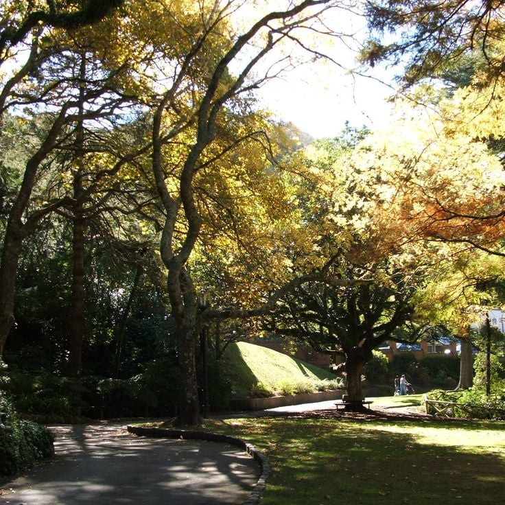 Wellington Botanic Garden