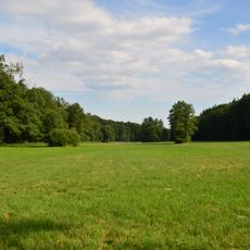 Waldwiesenbachtal von Oberhöchstadt