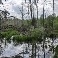 Pfrunger-Burgweiler Ried