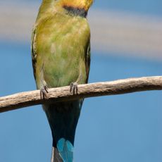 Precipice National Park