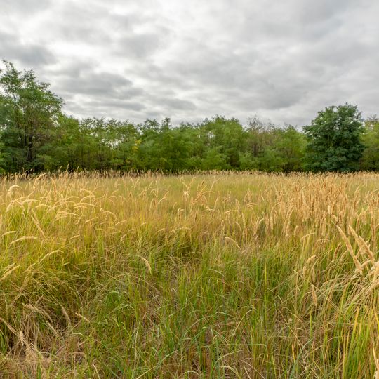 Урочище Балка Глибока