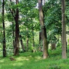 Stary cmentarz żydowski we Frysztaku